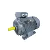 Motor chân đế Zener