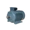 Motor chân đế SGP
