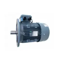Motor mặt bích SGP