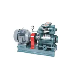 Máy bơm hút chân không vòng nước Doovac DWX(W)-10S