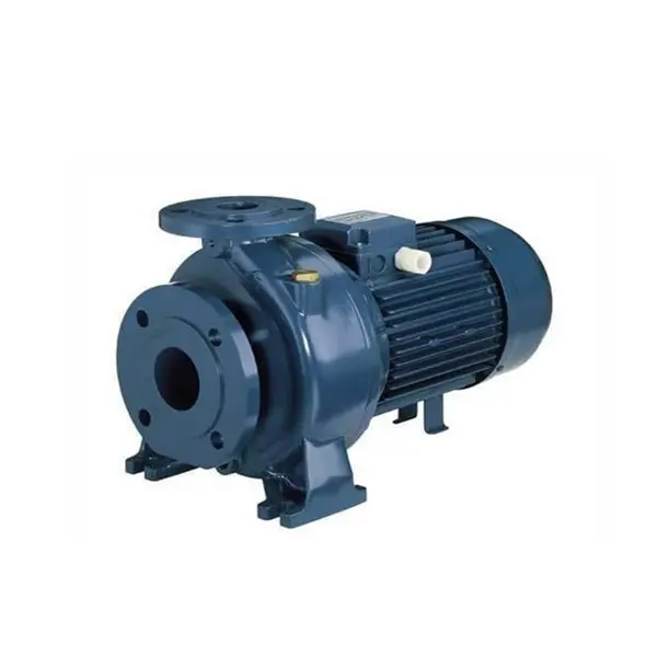 Máy bơm ly tâm trục ngang đầu gang Ebara 3D