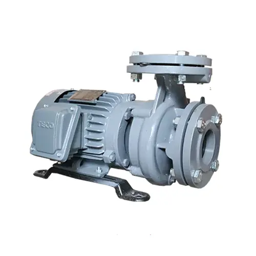 Máy bơm ly tâm đầu gang GSD