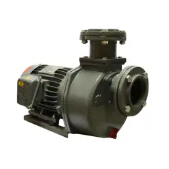 Máy bơm tự hút đầu gang NTP HSP