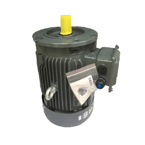 Motor Teco mặt bích