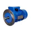 Motor TMX mặt bích