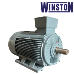 Motor chân đế Winston IE2 2Pole